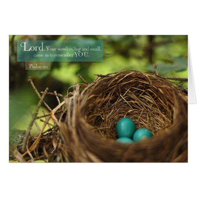 Robin's Nest (Front Horizontal)