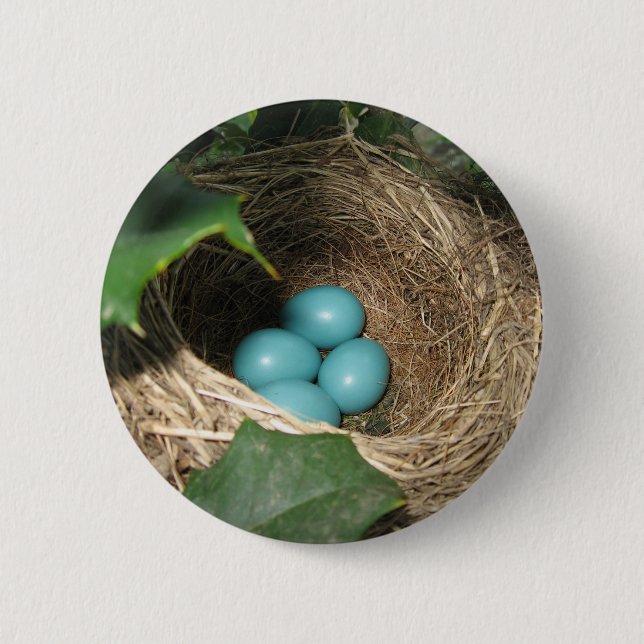Robin's Nest Button (Front)