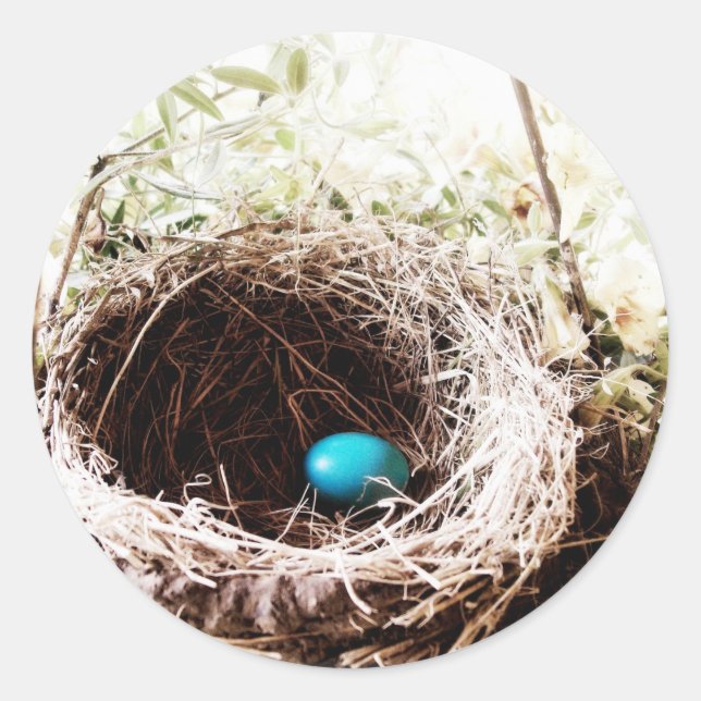 Robin's Nest Classic Round Sticker (Front)