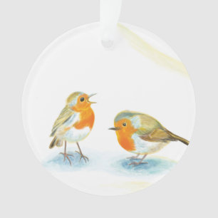 Robins rouges en hiver