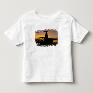 Robinson R44 helicopter at sunset Toddler T-shirt