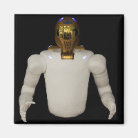 Robonaut 2, a dexterous, humanoid astronaut hel 5