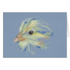 Roche à bec Plymouth