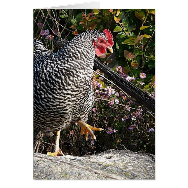 Roche barrée (Devant)