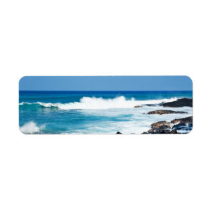 Roche de lave et océan hawaïens de corail - Hawa