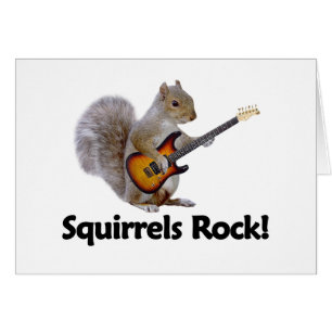 Roche d'écureuils !