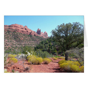 Rochers rouges et Cactus II à Sedona Arizona