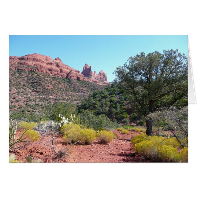 Rochers rouges et Cactus II à Sedona Arizona (Devant horizontal)
