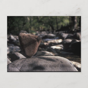 Rock Aisle Postcard