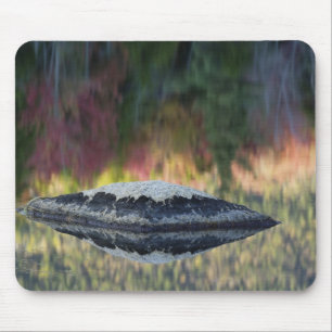 Rock and tree reflection, Lily Pond, White Mouse Pad