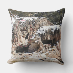 Rock Art - The Art of Nature Outdoor Pillow