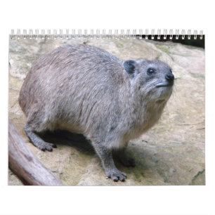 Rock Badger Calendar