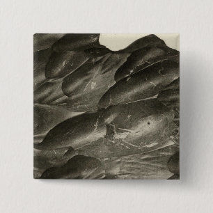 Rock carved by the Colorado 2 Inch Square Button