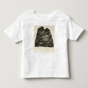 Rock carved by the Colorado Toddler T-shirt