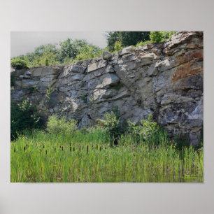 Rock Cliff Wall Cattails Pond Nature Poster