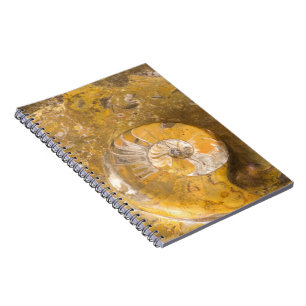 Rock Containing Many Fossils & Ammonite Photo Notebook