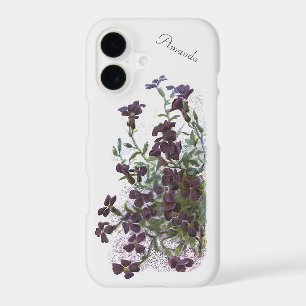 Rock Cress Ornamental Flowering Plant Illustration