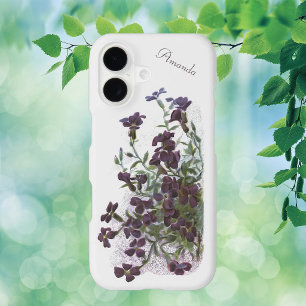 Rock Cress Ornamental Flowering Plant Illustration