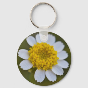 Rock Daisy Keychain