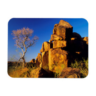 Rock Formation And Tree, Giant's Playground Magnet