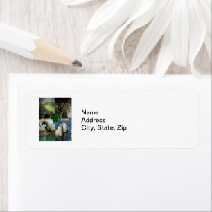 Rock Formations and Caves in Alaska Collage