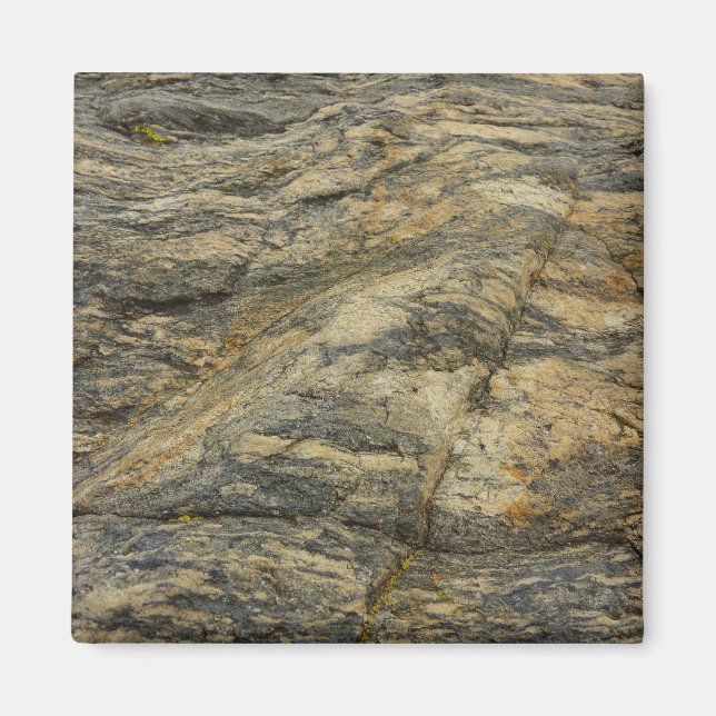 Rock from Joshua Tree Abstract Nature Photography Magnet (Front)