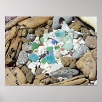 Rock Garden art prints Sea Shells Sea Glass Fossil