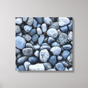 Rock Garden Canvas Print