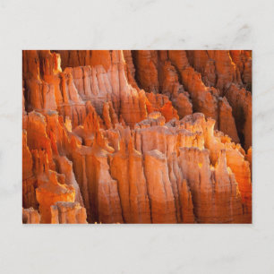 Rock Hoodoos in Morning Light Postcard