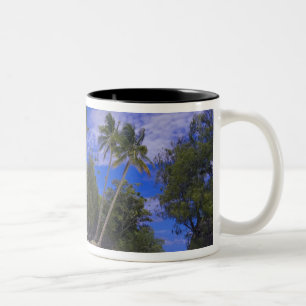 Rock Islands Palau Two-Tone Coffee Mug