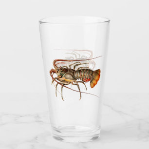 Rock Lobster - Panulirus Regis Glass