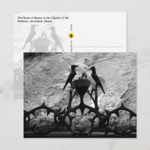 Rock of Agony, Jerusalem, Israel - B&W postcard