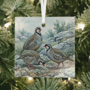 Rock Partridge ,Alectoris Graeca Hunting Birds Glass Ornament