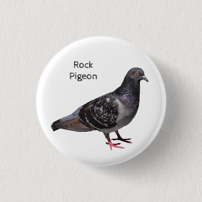 Rock Pigeon 1 Inch Round Button (Front)