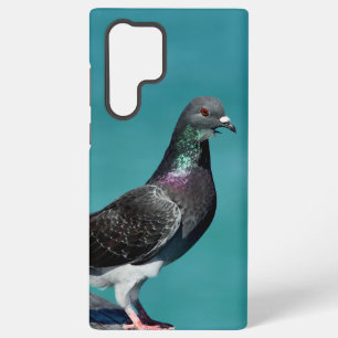 Rock Pigeon Samsung Phone Cases