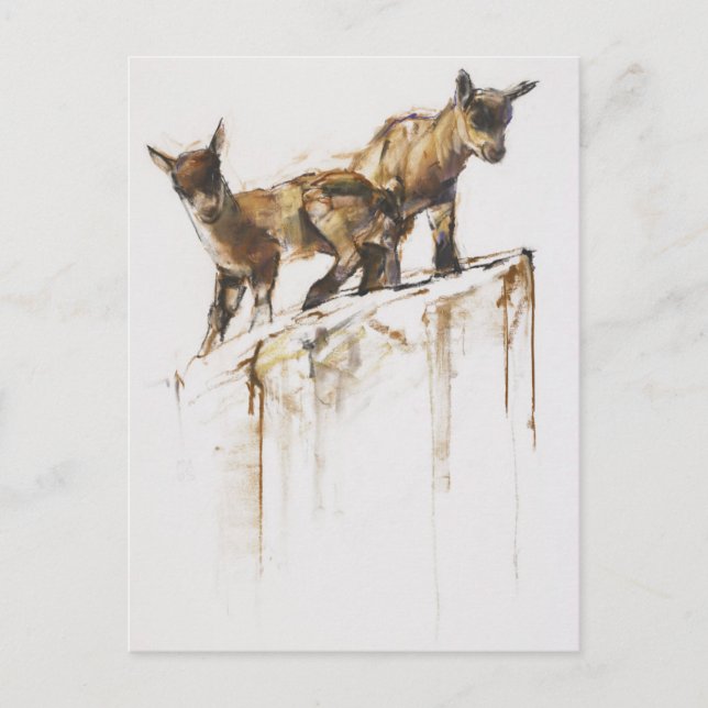 Rock Play 2005 Postcard (Front)