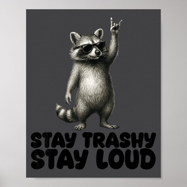 Rock Raccoon DJ Trash Shades Panda Poster (Front)