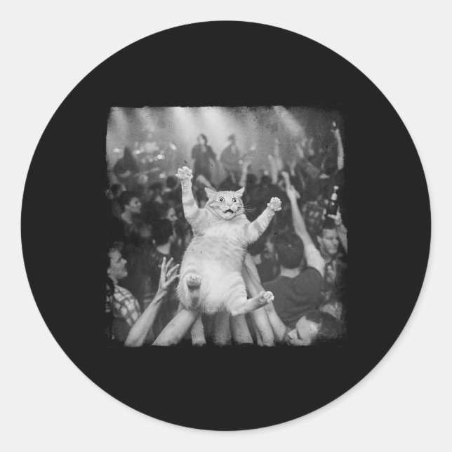 Rock Show Cat Meme Funny Humor Tabby Cat Crowd Sur Classic Round Sticker (Front)