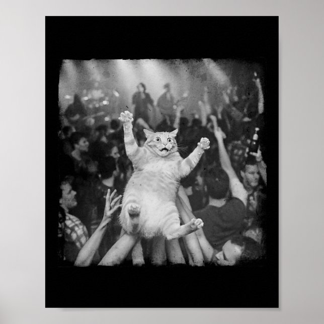 Rock Show Cat Meme Funny Humor Tabby Cat Crowd Sur Poster (Front)