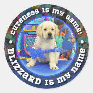 Rock Star Blizzard Classic Round Sticker