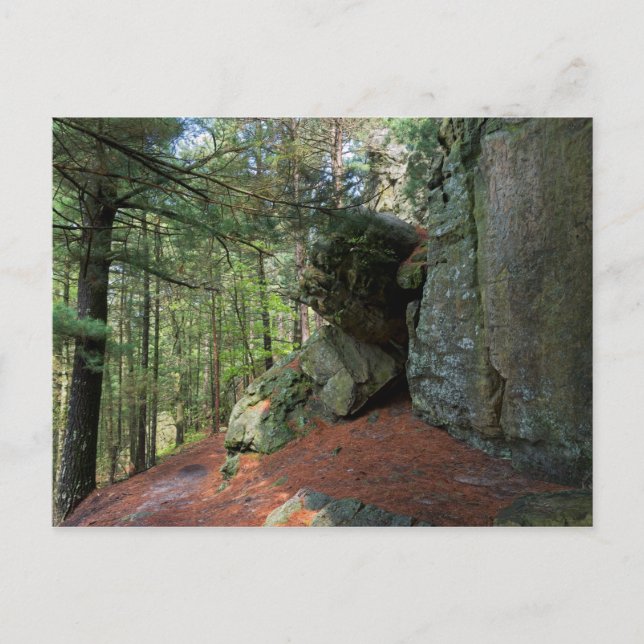Rock Wall and Woods at Castle Mound Postcard (Front)