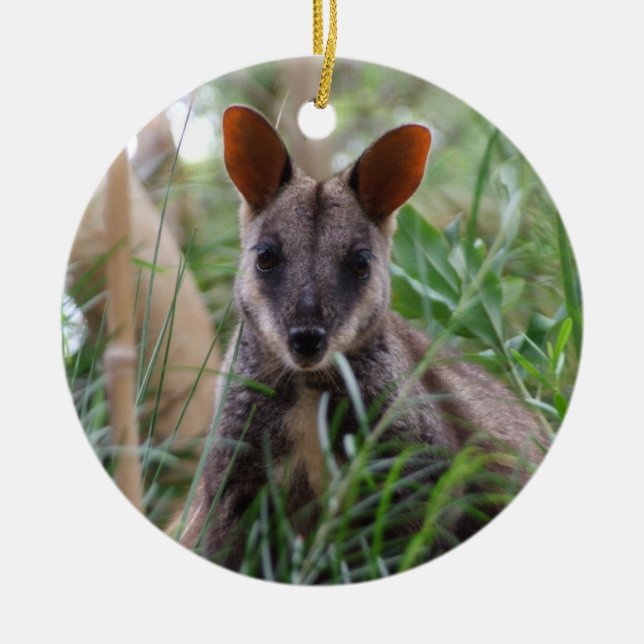 Rock Wallaby Ornament (Front)