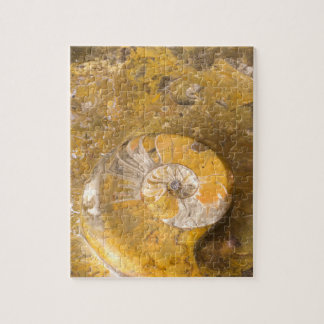 Rock with Fossilized Ammonite & Other Fossils Jigsaw Puzzle
