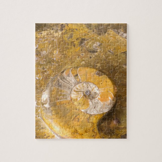Rock with Fossilized Ammonite & Other Fossils Jigsaw Puzzle (Vertical)