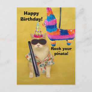 Rock your pinata! postcard