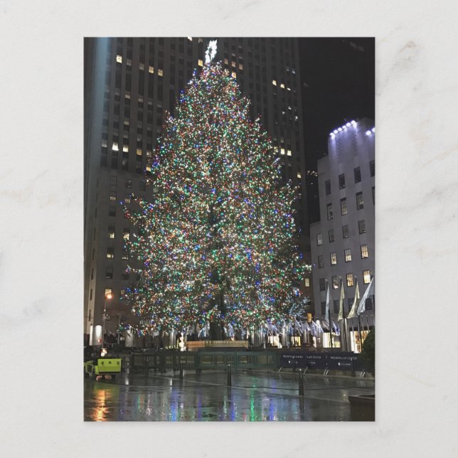 Rockefeller Centre NYC Christmas Tree Reflection Holiday Postcard (Front)