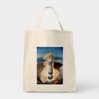 Rocket First Moon Mission Spacecraft Launch Tote B