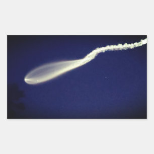 Rocket Jellyfish Sticker