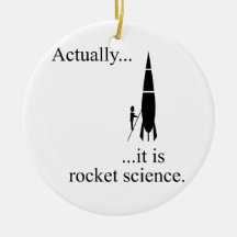 Rocket scientist