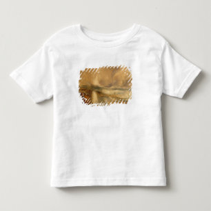 Rockets and Blue Lights, 1855 (chromolitho) Toddler T-shirt